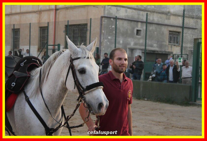 161106 equestre 032_tn.jpg